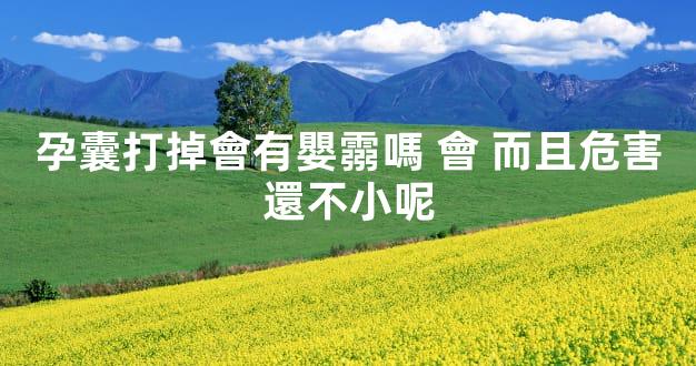 孕囊打掉會有嬰霛嗎 會 而且危害還不小呢